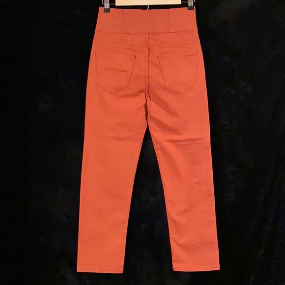 JOIE LAURELLE HIWAIST BUTTONFLY SZ 27 JEANS NEW - Picture 3 of 12